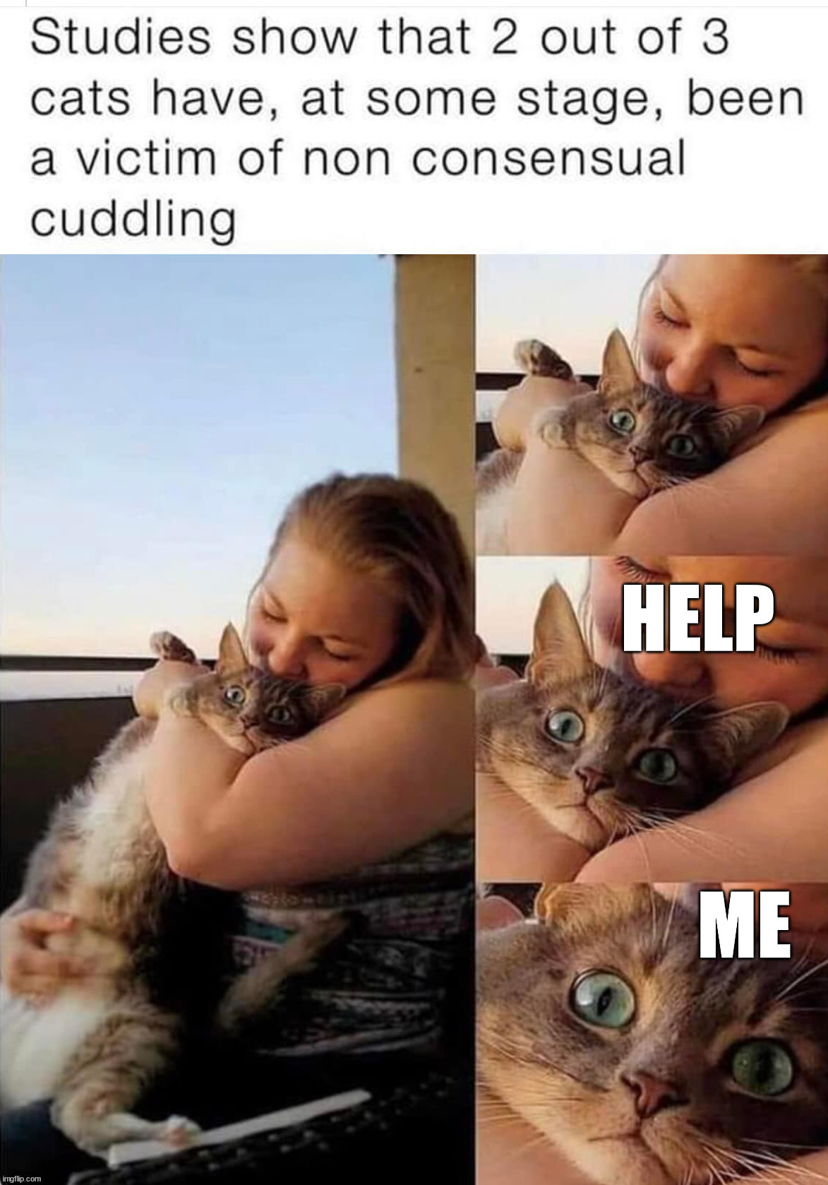 image tagged in cats,cuddling | made w/ Imgflip meme maker
