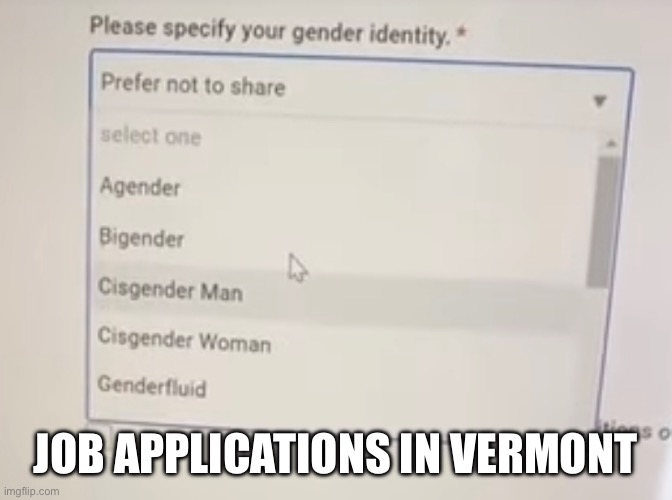 JOB APPLICATIONS IN VERMONT | image tagged in only in vermont,vermont,msmg | made w/ Imgflip meme maker