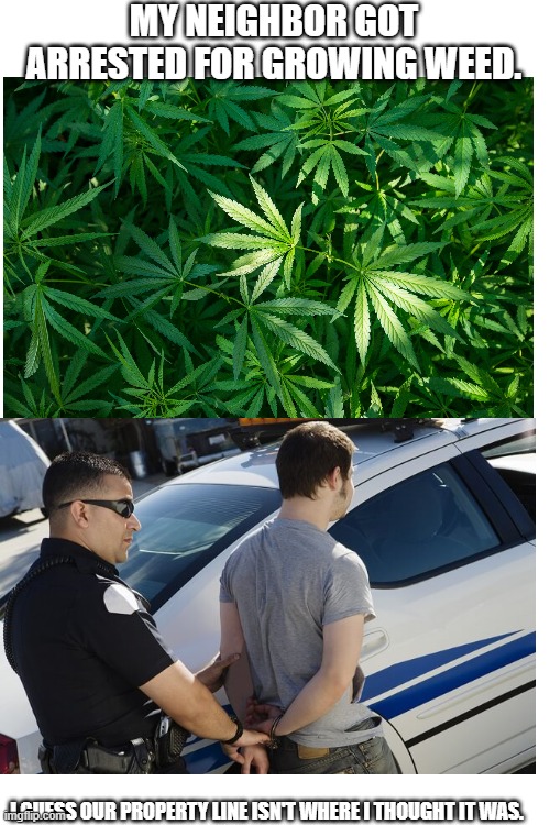 My Neighbor | MY NEIGHBOR GOT ARRESTED FOR GROWING WEED. I GUESS OUR PROPERTY LINE ISN'T WHERE I THOUGHT IT WAS. | image tagged in memes,weed | made w/ Imgflip meme maker