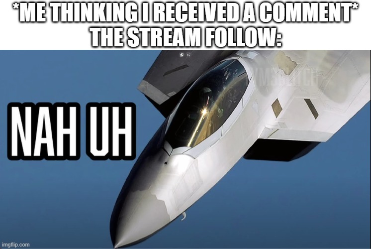 F-22 Raptor "Nah uh" | *ME THINKING I RECEIVED A COMMENT*
THE STREAM FOLLOW: | image tagged in f-22 raptor nah uh | made w/ Imgflip meme maker