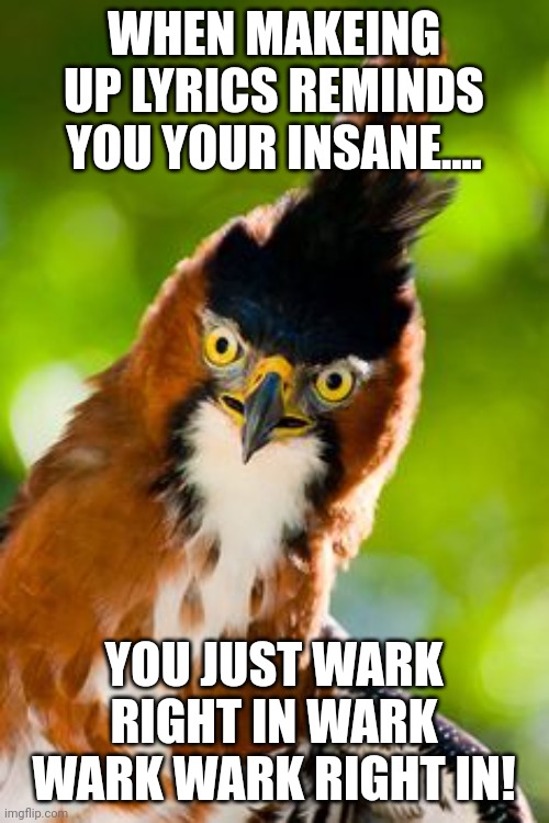 Everytime... | WHEN MAKEING UP LYRICS REMINDS YOU YOUR INSANE.... YOU JUST WARK RIGHT IN WARK WARK WARK RIGHT IN! | image tagged in crazy,90s kids,wrong lyrics,mental health,funny,animals | made w/ Imgflip meme maker