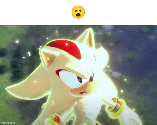 shadow gasp | image tagged in shadow gasp | made w/ Imgflip meme maker