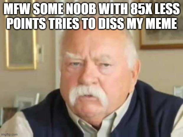 Wilford Brimley | MFW SOME NOOB WITH 85X LESS POINTS TRIES TO DISS MY MEME | image tagged in wilford brimley | made w/ Imgflip meme maker
