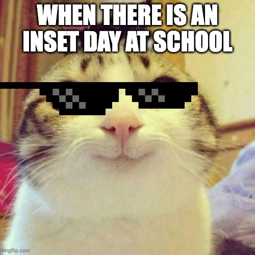 Smiling Cat | WHEN THERE IS AN INSET DAY AT SCHOOL | image tagged in memes,smiling cat | made w/ Imgflip meme maker