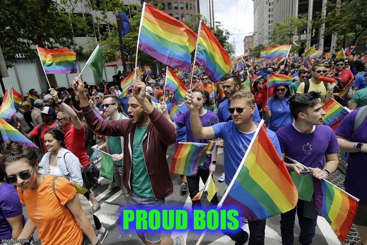 gay parade | PROUD BOIS | image tagged in gay parade | made w/ Imgflip meme maker
