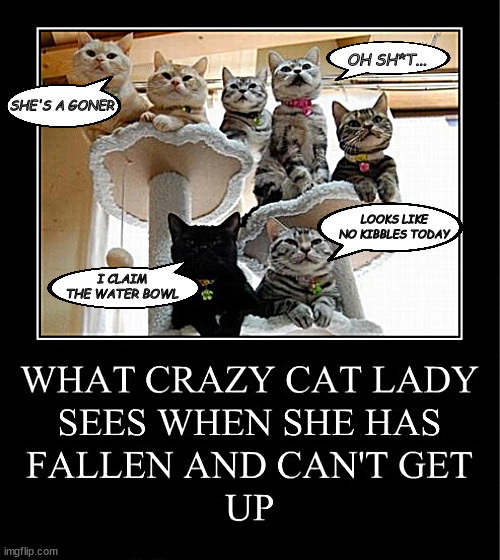 The cat lady's down! | OH SH*T... SHE'S A GONER; LOOKS LIKE NO KIBBLES TODAY; I CLAIM THE WATER BOWL | image tagged in memes,cats,food,cat lady | made w/ Imgflip meme maker