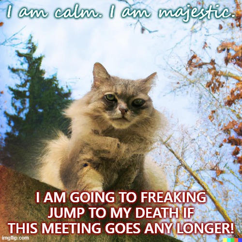 Long Meetings | I am calm. I am majestic. I AM GOING TO FREAKING JUMP TO MY DEATH IF THIS MEETING GOES ANY LONGER! | image tagged in work,cat,grumpy cat,dark humor | made w/ Imgflip meme maker