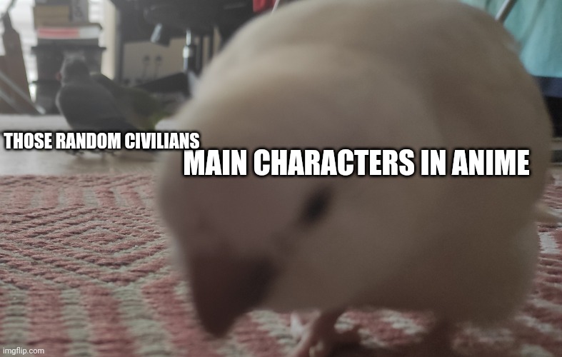 Birb with background birbs | THOSE RANDOM CIVILIANS; MAIN CHARACTERS IN ANIME | image tagged in birb with background birbs | made w/ Imgflip meme maker
