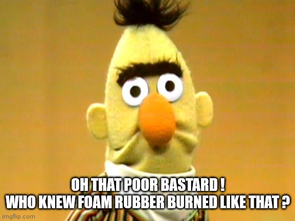 Sesame Street - Sad Bert | OH THAT POOR BASTARD !
WHO KNEW FOAM RUBBER BURNED LIKE THAT ? | image tagged in sesame street - sad bert | made w/ Imgflip meme maker