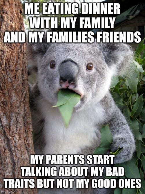 I hate it when this happens | ME EATING DINNER WITH MY FAMILY AND MY FAMILIES FRIENDS; MY PARENTS START TALKING ABOUT MY BAD TRAITS BUT NOT MY GOOD ONES | image tagged in memes,surprised koala | made w/ Imgflip meme maker