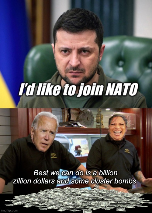 Must not be any $$$$ for the big guy in this deal | Best we can do is a billion zillion dollars and some cluster bombs | image tagged in pawn stars best i can do,politics lol,memes | made w/ Imgflip meme maker