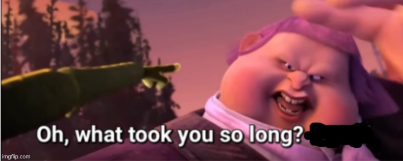 Oh, what took you so long? Idiot! | image tagged in oh what took you so long idiot | made w/ Imgflip meme maker