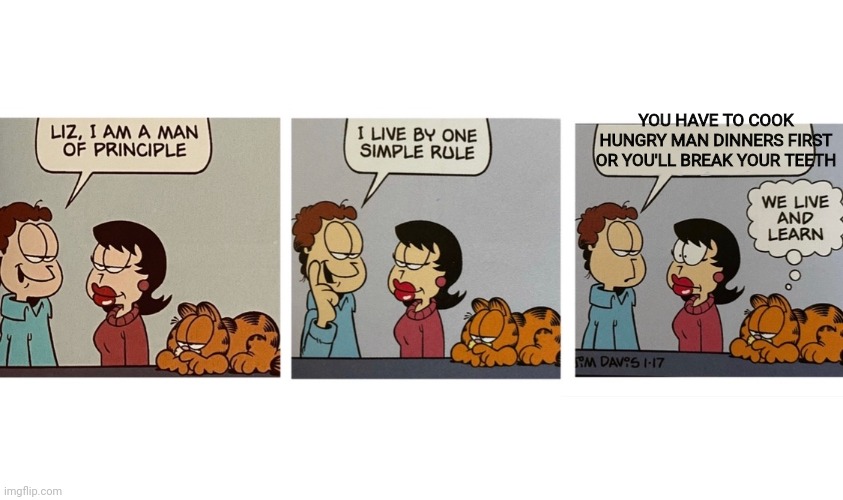 Life lessons with Jon | YOU HAVE TO COOK HUNGRY MAN DINNERS FIRST OR YOU'LL BREAK YOUR TEETH | image tagged in i am a man of principal jon arbuckle,jon,garfield,stop it get some help,hungry man | made w/ Imgflip meme maker