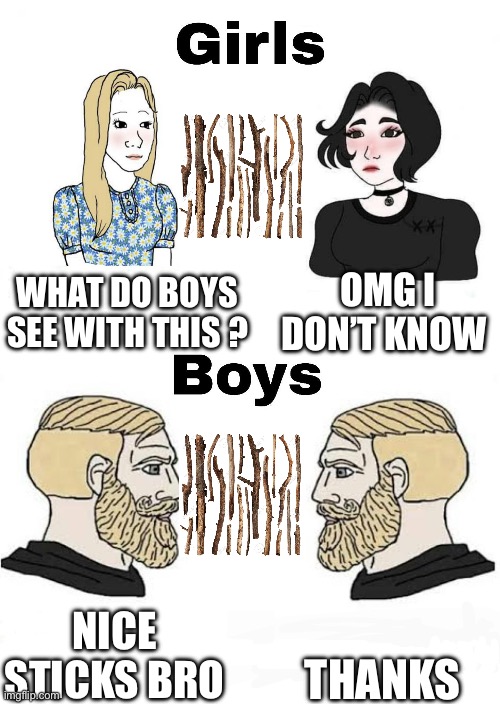 Girls vs Boys | OMG I DON’T KNOW; WHAT DO BOYS SEE WITH THIS ? THANKS; NICE STICKS BRO | image tagged in girls vs boys | made w/ Imgflip meme maker