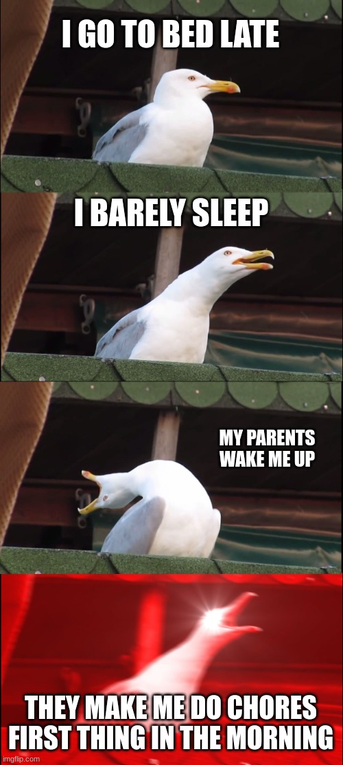 Like, bro. | I GO TO BED LATE; I BARELY SLEEP; MY PARENTS WAKE ME UP; THEY MAKE ME DO CHORES FIRST THING IN THE MORNING | image tagged in memes,inhaling seagull | made w/ Imgflip meme maker
