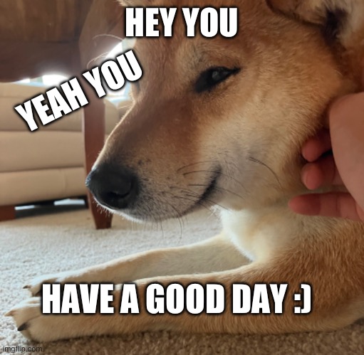 :) | HEY YOU; YEAH YOU; HAVE A GOOD DAY :) | image tagged in encouragement | made w/ Imgflip meme maker