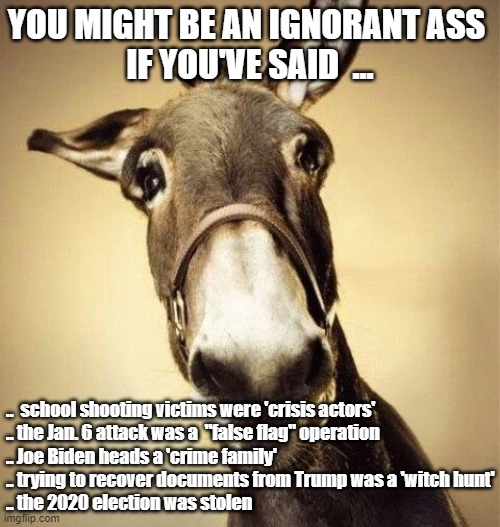 Ignorant Ass | YOU MIGHT BE AN IGNORANT ASS 
IF YOU'VE SAID  ... ..  school shooting victims were 'crisis actors'
.. the Jan. 6 attack was a  "false flag" operation 
.. Joe Biden heads a 'crime family'
.. trying to recover documents from Trump was a 'witch hunt'
.. the 2020 election was stolen | image tagged in mule | made w/ Imgflip meme maker