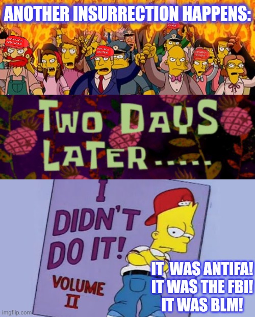 ANOTHER INSURRECTION HAPPENS: IT  WAS ANTIFA!
IT WAS THE FBI!
IT WAS BLM! | image tagged in two days later | made w/ Imgflip meme maker