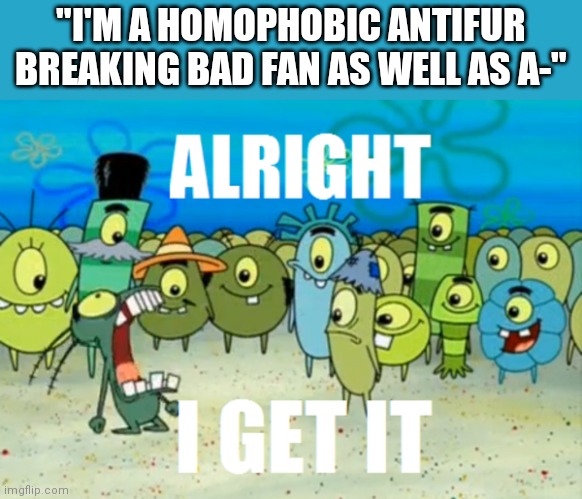 MSMG slander 3 | "I'M A HOMOPHOBIC ANTIFUR BREAKING BAD FAN AS WELL AS A-" | image tagged in alright i get it | made w/ Imgflip meme maker