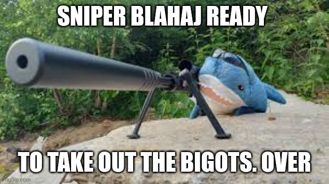 Sniper Blahaj | SNIPER BLAHAJ READY; TO TAKE OUT THE BIGOTS. OVER | image tagged in sniper blahaj,transgender,sniper | made w/ Imgflip meme maker