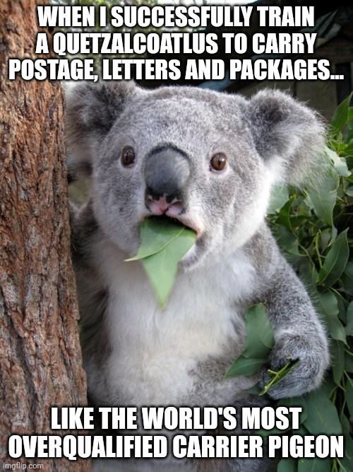 Overqualified carrier pigeon | WHEN I SUCCESSFULLY TRAIN A QUETZALCOATLUS TO CARRY POSTAGE, LETTERS AND PACKAGES... LIKE THE WORLD'S MOST OVERQUALIFIED CARRIER PIGEON | image tagged in memes,surprised koala | made w/ Imgflip meme maker