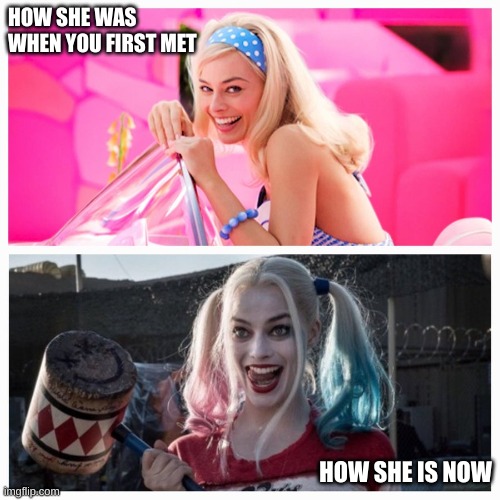 barbie | HOW SHE WAS WHEN YOU FIRST MET; HOW SHE IS NOW | image tagged in harley quinn | made w/ Imgflip meme maker