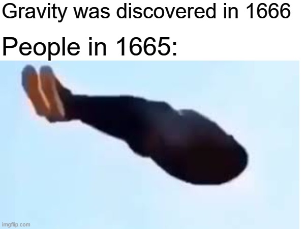 Gravity was discovered in 1666; People in 1665: | image tagged in fly | made w/ Imgflip meme maker