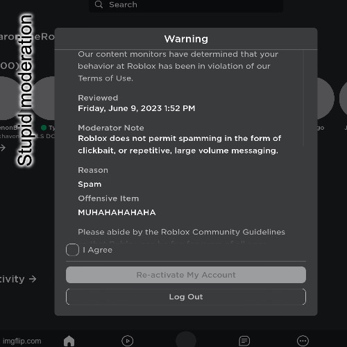 Stupid moderation | made w/ Imgflip meme maker
