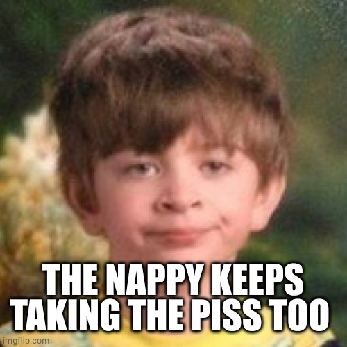 Annoyed face | THE NAPPY KEEPS TAKING THE PISS TOO | image tagged in annoyed face | made w/ Imgflip meme maker