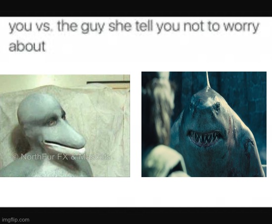 Dolphin muzzle vs king shark | image tagged in you vs the guy | made w/ Imgflip meme maker