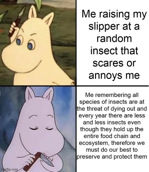image tagged in memes | made w/ Imgflip meme maker