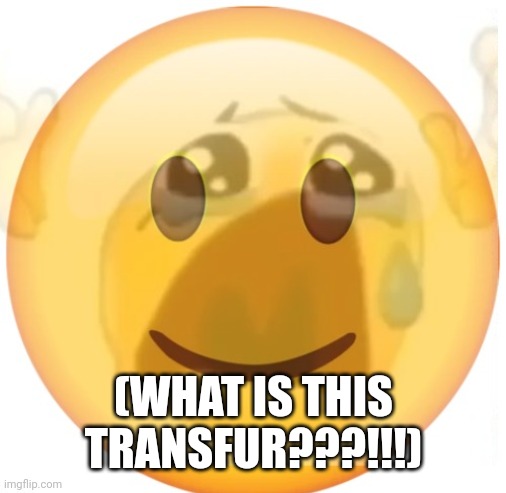 happy emoji on the outside, but crying on the inside | (WHAT IS THIS TRANSFUR???!!!) | image tagged in happy emoji on the outside but crying on the inside | made w/ Imgflip meme maker