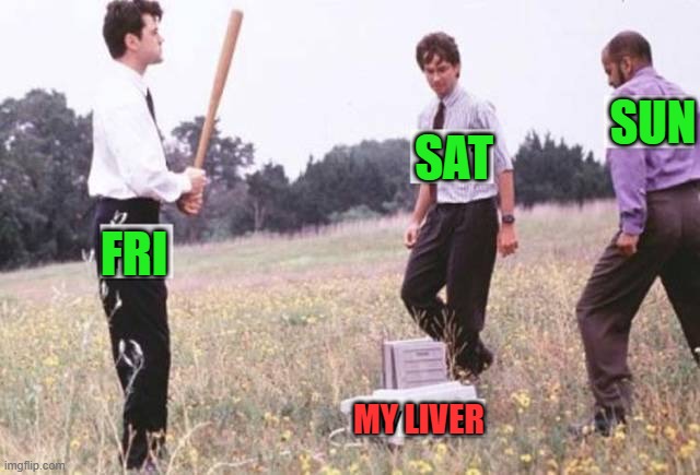 SUN; SAT; FRI; MY LIVER | image tagged in drinking | made w/ Imgflip meme maker