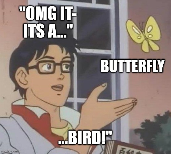 Is This A Pigeon Meme | "OMG IT- ITS A..."; BUTTERFLY; ...BIRD!" | image tagged in memes,is this a pigeon | made w/ Imgflip meme maker