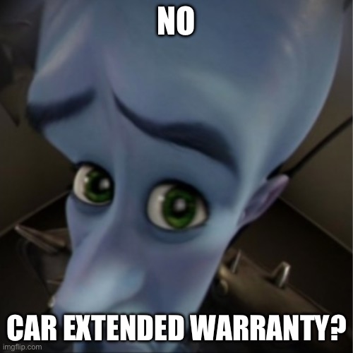 Megamind peeking | NO; CAR EXTENDED WARRANTY? | image tagged in megamind peeking | made w/ Imgflip meme maker