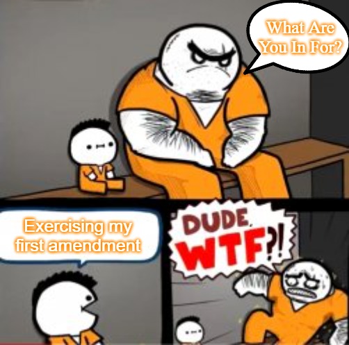 What are you in here for | What Are
You In For? Exercising my first amendment | image tagged in what are you in here for,usa | made w/ Imgflip meme maker