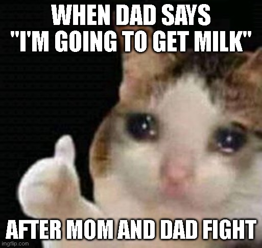 Dad after a fight | WHEN DAD SAYS "I'M GOING TO GET MILK"; AFTER MOM AND DAD FIGHT | image tagged in sad thumbs up cat | made w/ Imgflip meme maker