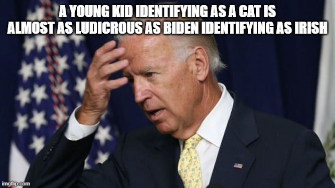 Joe Biden worries | A YOUNG KID IDENTIFYING AS A CAT IS ALMOST AS LUDICROUS AS BIDEN IDENTIFYING AS IRISH | image tagged in joe biden worries | made w/ Imgflip meme maker
