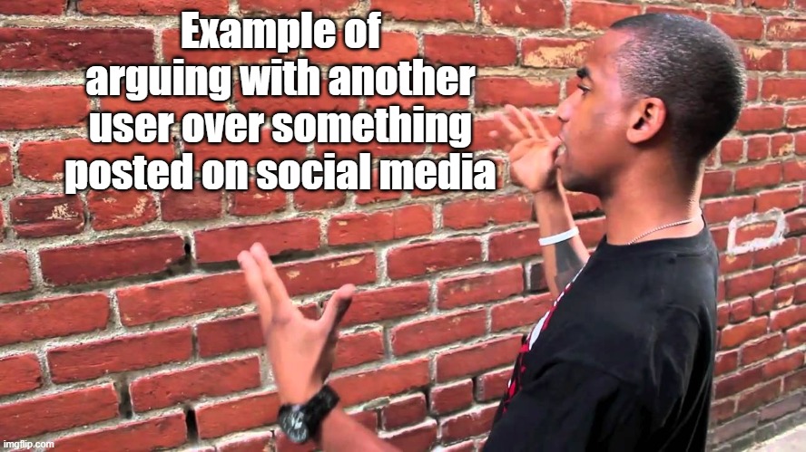 Talking to wall | Example of arguing with another user over something posted on social media | image tagged in talking to wall | made w/ Imgflip meme maker