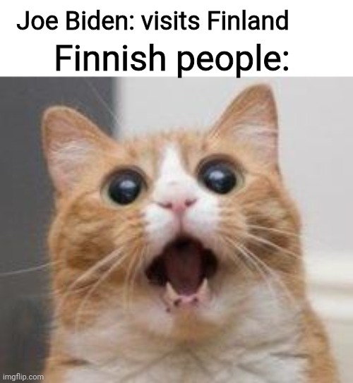 Wow | Joe Biden: visits Finland; Finnish people: | image tagged in wow | made w/ Imgflip meme maker