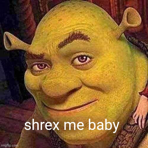 Shrek Sexy Face | shrex me baby | image tagged in shrek sexy face | made w/ Imgflip meme maker