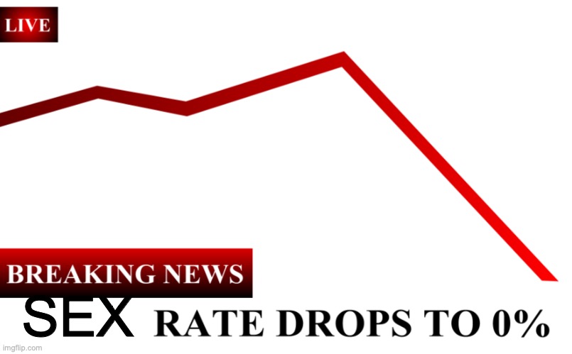 ____ Rate Drops To 0% | SEX | image tagged in ____ rate drops to 0 | made w/ Imgflip meme maker