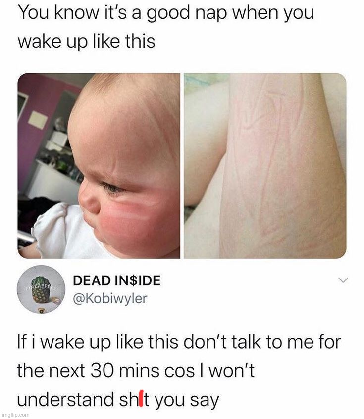 image tagged in memes,funny | made w/ Imgflip meme maker