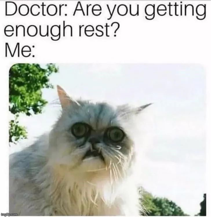 image tagged in memes,funny | made w/ Imgflip meme maker