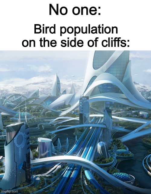 I know that kayakers most likely can confirm that it’s true :] | No one:; Bird population on the side of cliffs: | image tagged in the world if | made w/ Imgflip meme maker