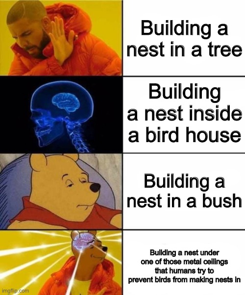 It will be the perfect home :D | Building a nest in a tree; Building a nest inside a bird house; Building a nest in a bush; Building a nest under one of those metal ceilings that humans try to prevent birds from making nests in | image tagged in drake brain pooh crossover | made w/ Imgflip meme maker