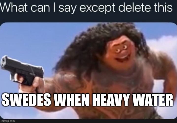 What can I say except delete this | SWEDES WHEN HEAVY WATER | image tagged in what can i say except delete this | made w/ Imgflip meme maker