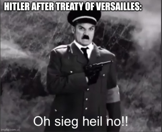 oh sieg heil no | HITLER AFTER TREATY OF VERSAILLES: | image tagged in oh sieg heil no | made w/ Imgflip meme maker