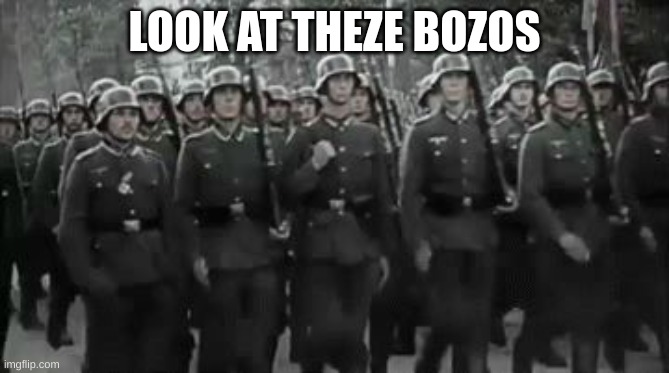 Wehrmacht Soldiers Marching  | LOOK AT THEZE BOZOS | image tagged in wehrmacht soldiers marching | made w/ Imgflip meme maker