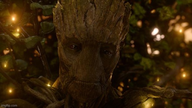 We Are Groot | image tagged in we are groot | made w/ Imgflip meme maker